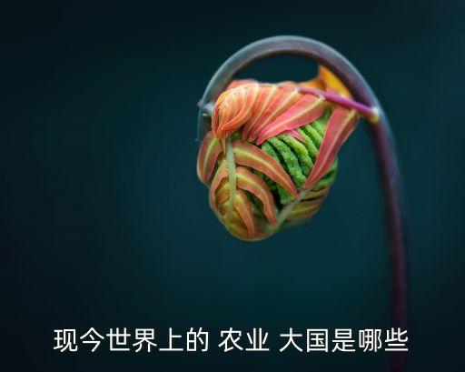 你们认为什么是农业大国