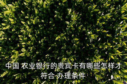 农业金卡借记卡怎么办理吗,中国银行借记卡金卡办理条件