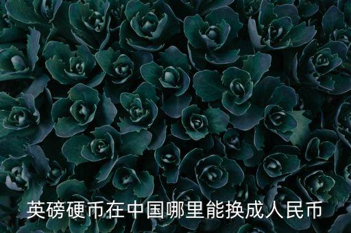农业银行英镑怎么换
