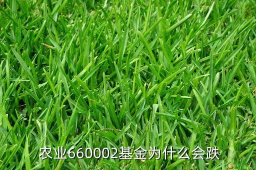 农业股票怎么老跌啊知乎,怎么买农业股票