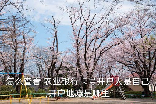 农业网银客户号怎么查询,中国农业网银怎么登录