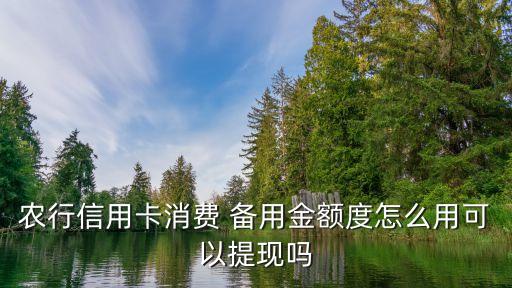 农业银行备用金怎么出