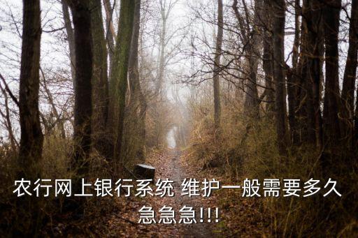 农业网银怎么维护信息,中国农业网银怎么登录