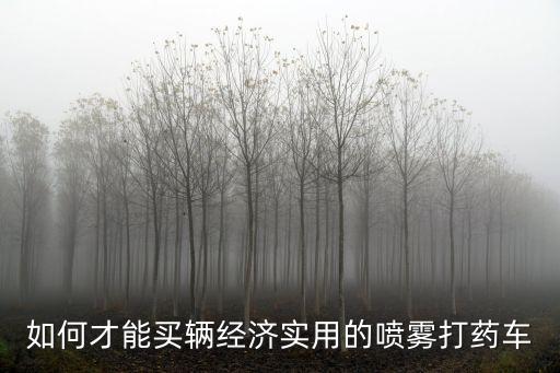 如何才能买辆经济实用的喷雾打药车