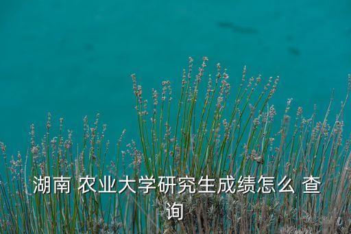 湖南农业大学怎么查询电费