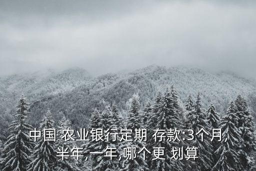 农业银行存款怎么最划算,怎么查看农业银行存款