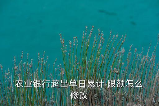 农业银行企业限额怎么修改