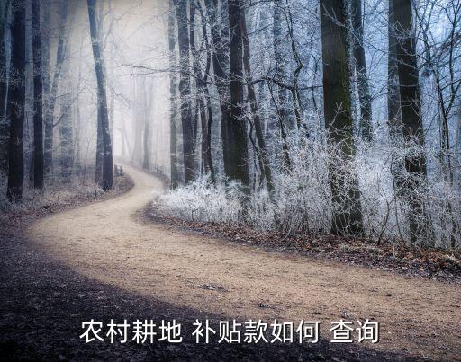农业补贴用手机怎么查询,河南农业补贴怎么查询