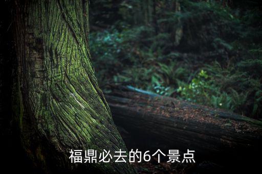 福鼎农业科技怎么样了,福鼎大化农业科技(北京)有限公司