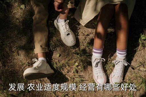 什么是农业简约化经营