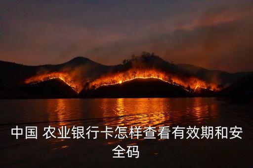 农业银行cvv码怎么查询,怎么查询信用卡CVV码