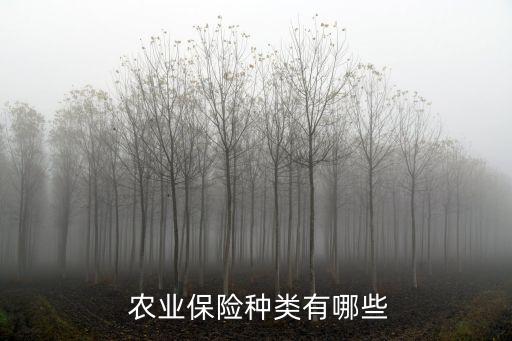 农业器械产品属于什么保险,卖农业产品属于什么行业