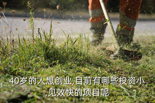 零投入怎么玩农业,农业总投入怎么算