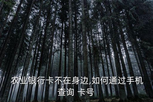 农业银行丢了 卡号怎么查,查农业银行卡号开户行