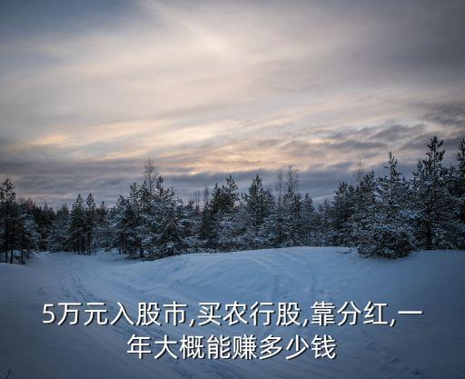 5万元入股市,买农行股,靠分红,一年大概能赚多少钱