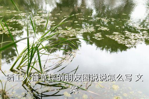 农业改造文案怎么写好听,好听歌曲文案怎么写吸引人