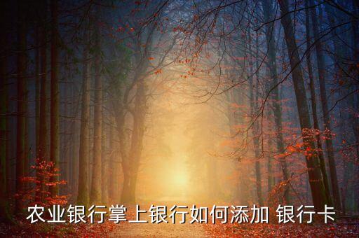 农业银行卡怎么插放,农业atm可以插别的银行卡吗