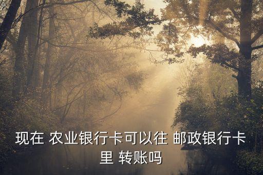 支付宝农业转邮政怎么转账,邮政怎么注册支付宝