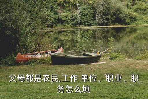 农业工作单位怎么填写,为什么办理农业银行卡需要工作单位