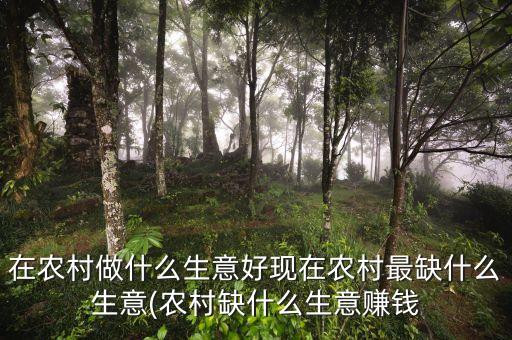 没钱怎么干农业行业,农业农村工作怎么干