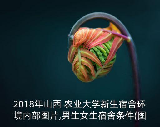太原农业学校怎么样,重庆市农业学校怎么样,好不好?