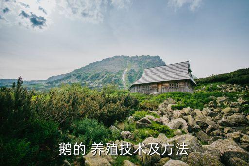 农业养殖鸭鹅怎么养的