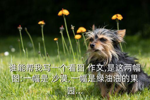 沙漠农业作文题目怎么写,沙漠土壤化科幻作文题目怎么写