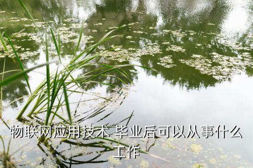物联网应用技术 毕业后可以从事什么工作