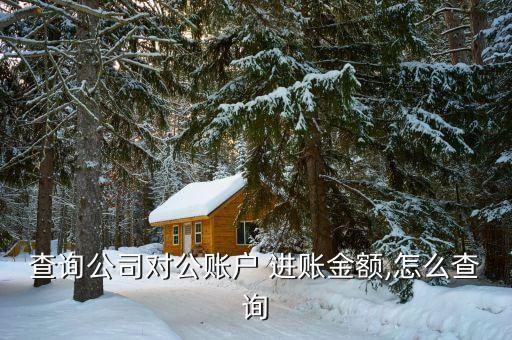查询公司对公账户 进账金额,怎么查询