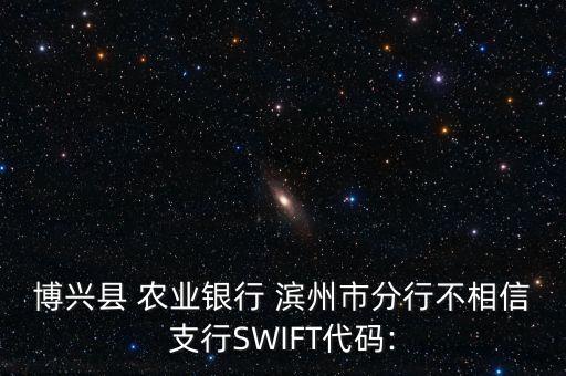 滨州农业银行怎么走,山东滨州农业银行网点
