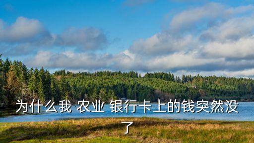 农业银行卡丢钱怎么查,办农业银行卡要多少钱