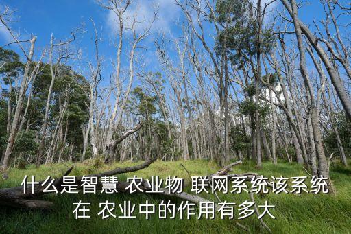 物联网农业怎么加入网络,中国物联网怎么加入