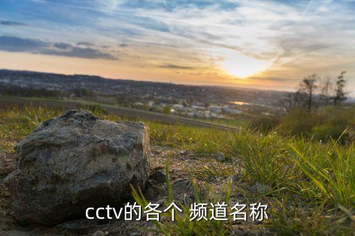 怎么搜索申央农业频道