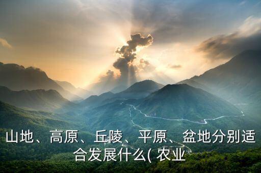 平地镇有什么农业