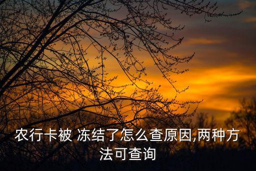 怎么查农业银行是否冻结,农业银行几年没用 今天去查冻结了