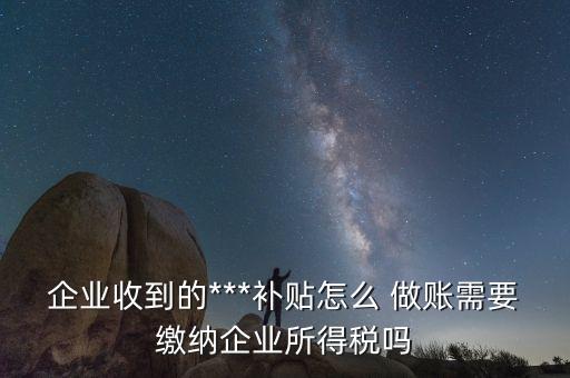 公司农业补助金怎么做账