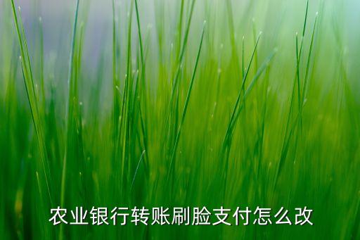  农业银行转账刷脸支付怎么改