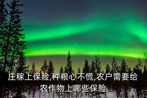 农业完全成本保险怎么购买