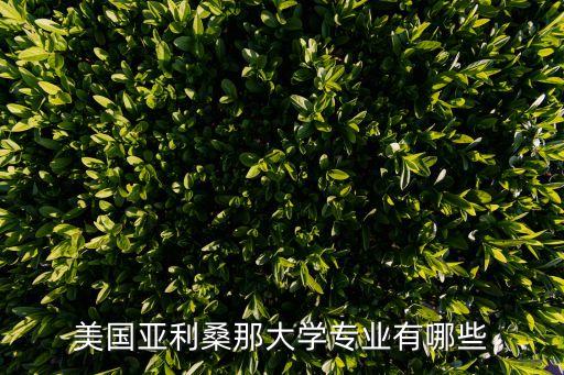 美国亚利桑那大学专业有哪些