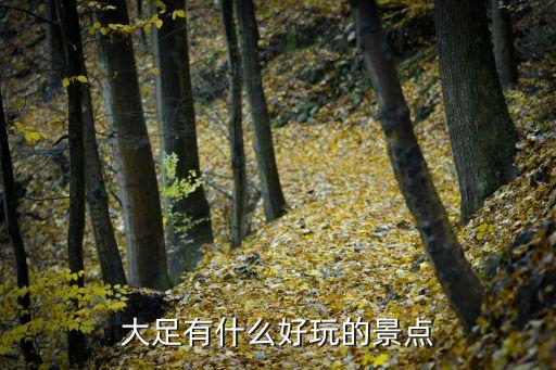 大足有什么好玩的景点