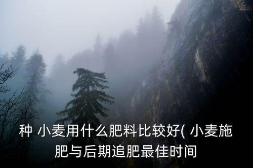 农业小麦施什么肥好些,春季小麦施什么肥合适