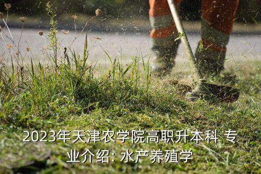 农业大学什么专业学水产,女生上农业大学学什么专业好
