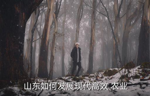 山东的农村农业怎么样,山东农业农村厅厅长简历