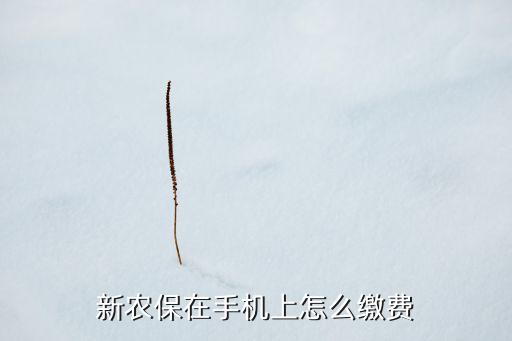 农业保险是怎么交的呢,江西农业保险怎么交