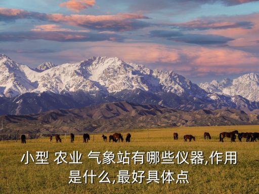 农业气象服务清单怎么写