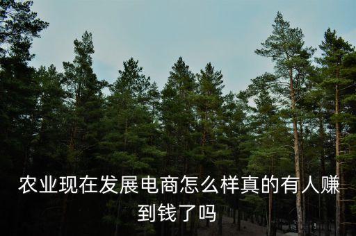 农业电脑怎么创业,破旧电脑怎么创业