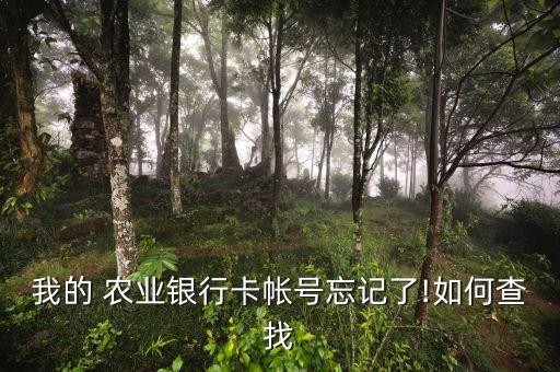 农业银行怎么查询账户名,如何查询别人农业银行账户
