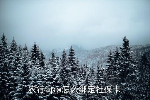 农业银行怎么完成绑卡,手机农业银行怎么绑卡