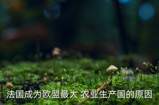 法国成为欧盟最大 农业生产国的原因