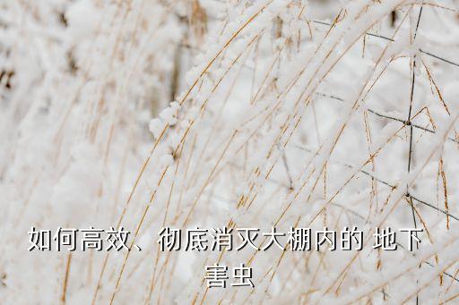 农业地下害虫怎么处理,地下害虫的农业防治方法都有哪些